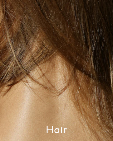 Theorie Hair Care Collection Image