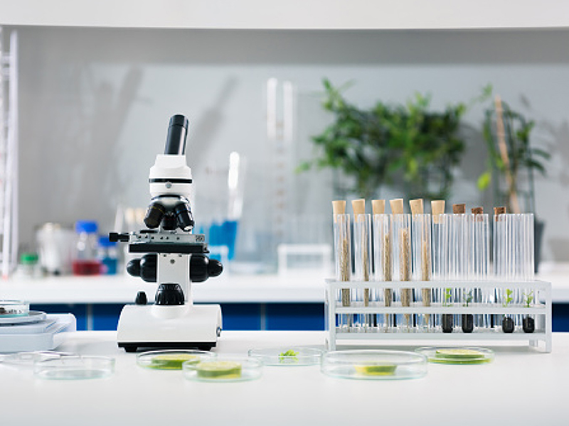 The Pierre Fabre Botanical Expertise 