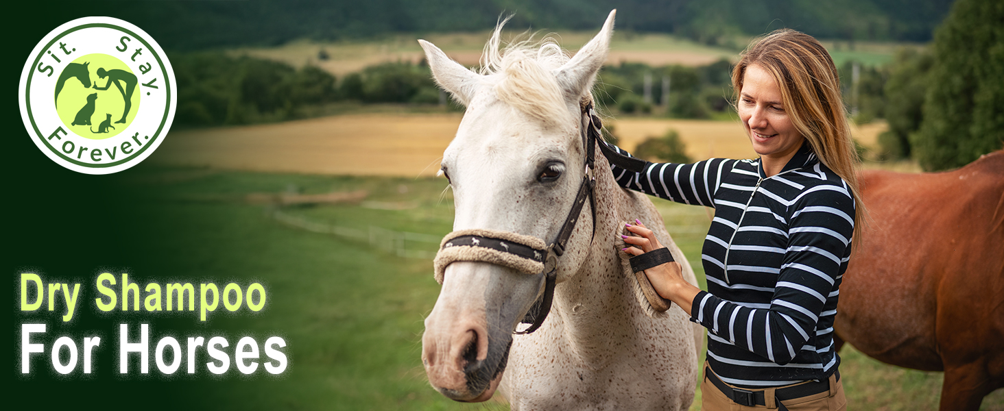 Sit Stay Forever dry shampoo for horses, horse coat defense