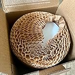 Customer Image, click to open customer review