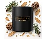 Benevolence LA Pine Scented Candle | Soy Candles, Black Candle for Home | Gifts for Women and Men | Home Fragrance | Aromatherapy | Bathroom Freshener | 8oz, 45 Hour Burn