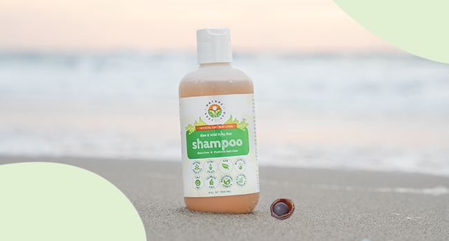 dandruff organic shampoo natural shampoo natural shampoo