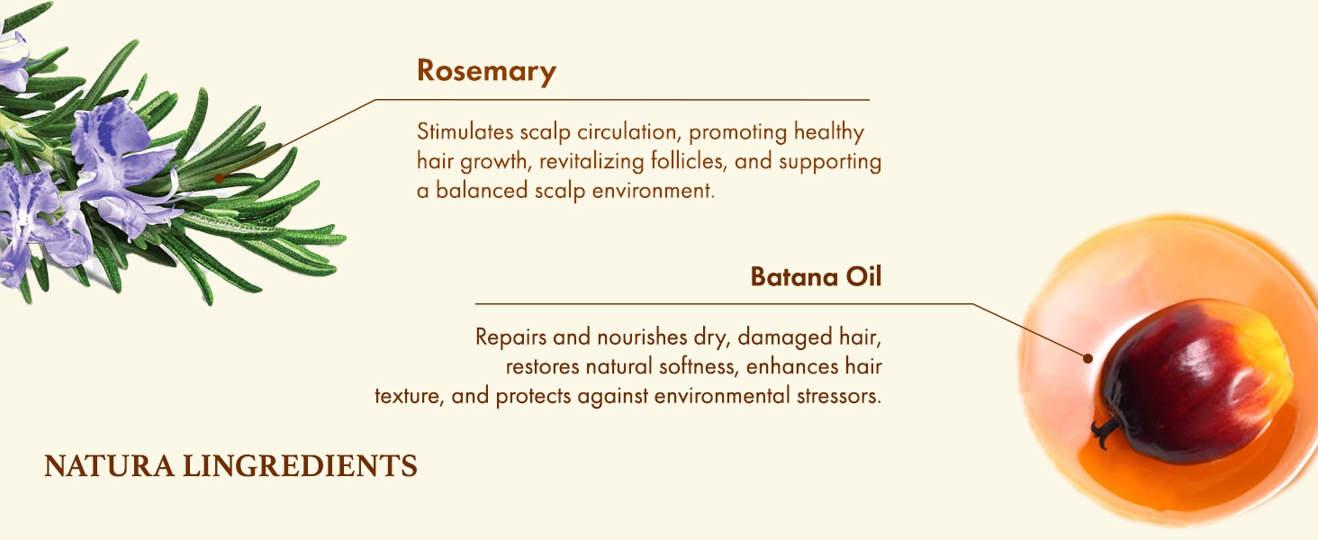 Rosemary OIl & Batana Oil