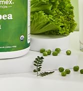 organic pea protein powder