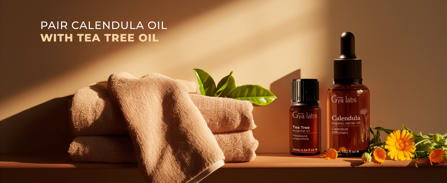 calendula oils candula oil calendula oil pure calendula oil organic organic pure calendula oil