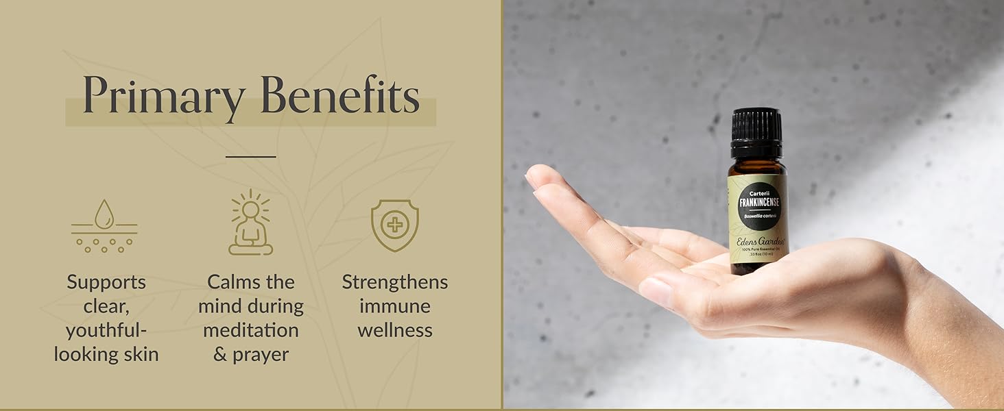 frankincense oil benefits, clear skin, meditation oil, immune support, essential oil for wellness