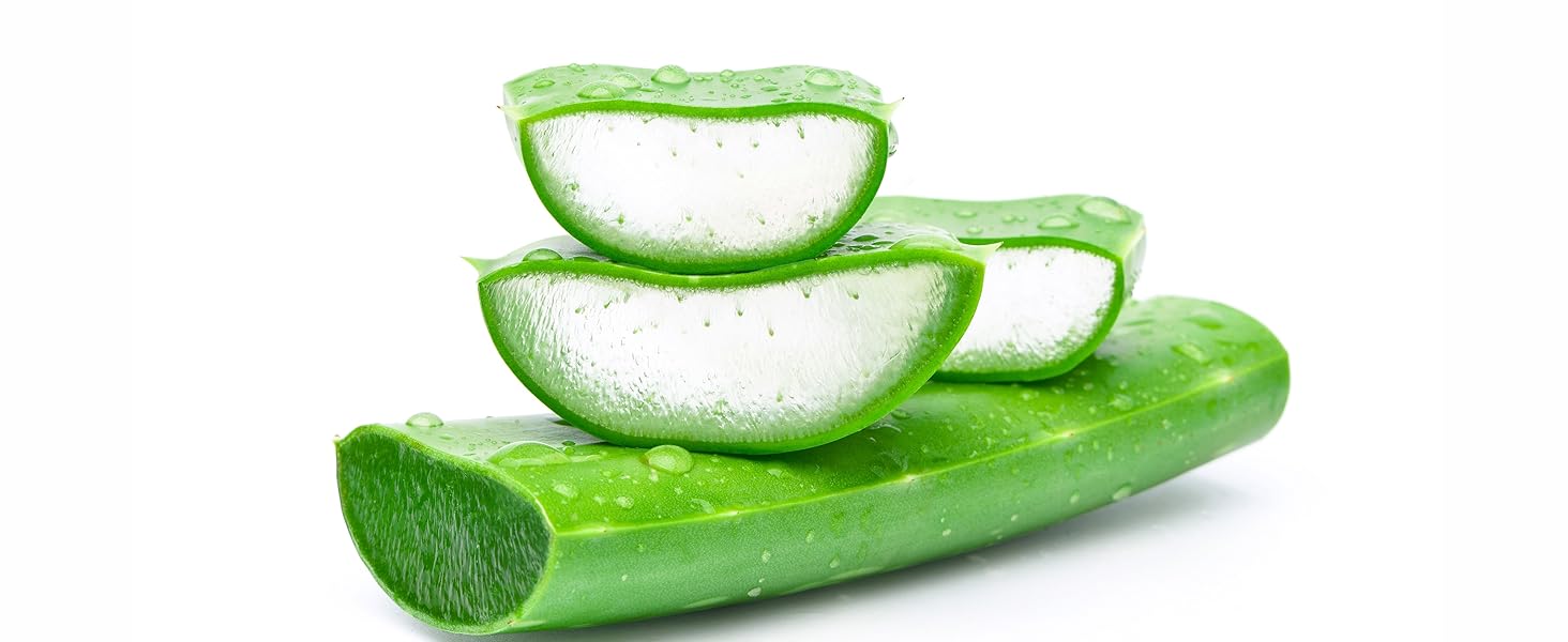 Aloe Vera