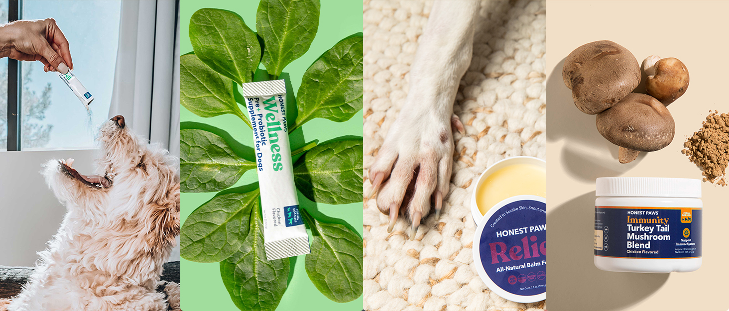 Honest Paws Products for Pets
