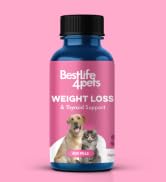 cat and dog healthy weight and thyroid support for cats dogs feline canine bestlifefor pets