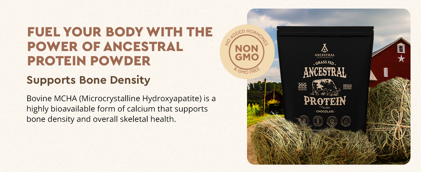 rganic, natural, grass-fed beef & bone broth protein powder, no sugar, reishi, lions mane, chaga