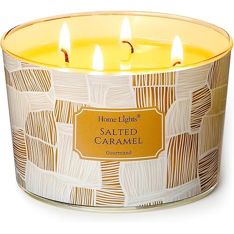 HomeLights Soy Wax Candles for Home Scented, 4-Wick Candles in Salted Caramel Scented, Rustic Modern Aromatherapy Candles Gift for Parties, Relaxing, 18oz