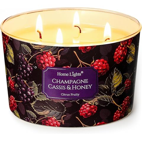 HomeLights Scented Candles for Women & Men, 18oz Candle Jars Aromatherapy 4-Wick Candle, Ideal for Eclectic Mixed Styles Home Decor and Gifts, Champagne Cassis & Honey