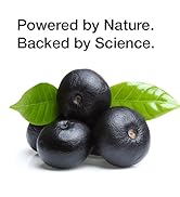 Vegan shampoo and conditioner