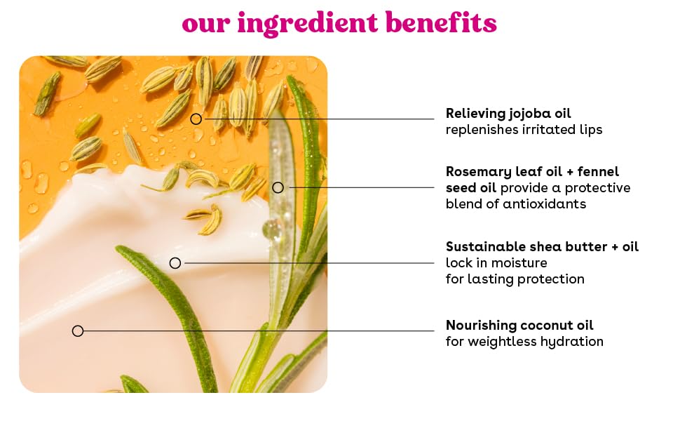 Our ingredients