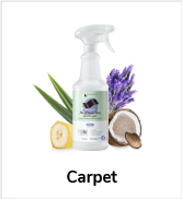 carpet cleaner