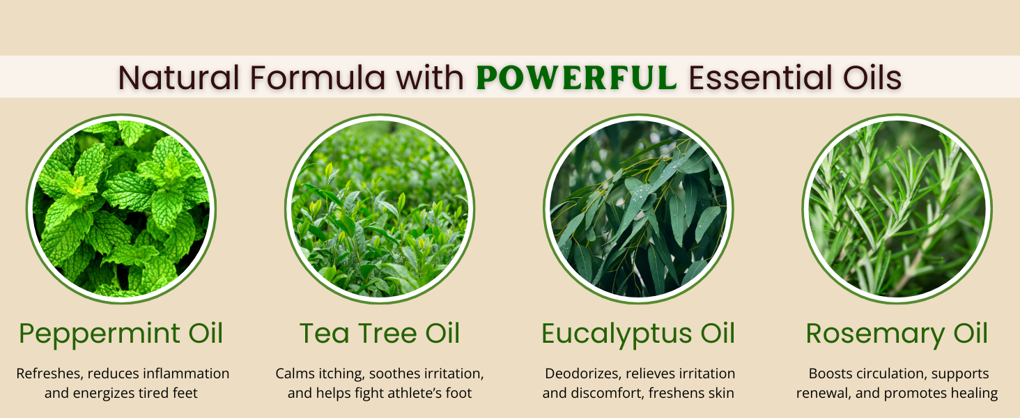 tea tree oil foot cream peppermint oil lotion eucalyptus lotion rosemary cream for feet balm heel