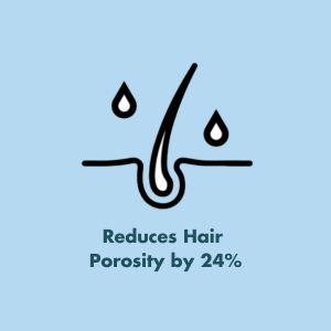 Hair Porosity