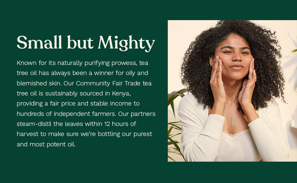 SKIN CARE - TEA TREE