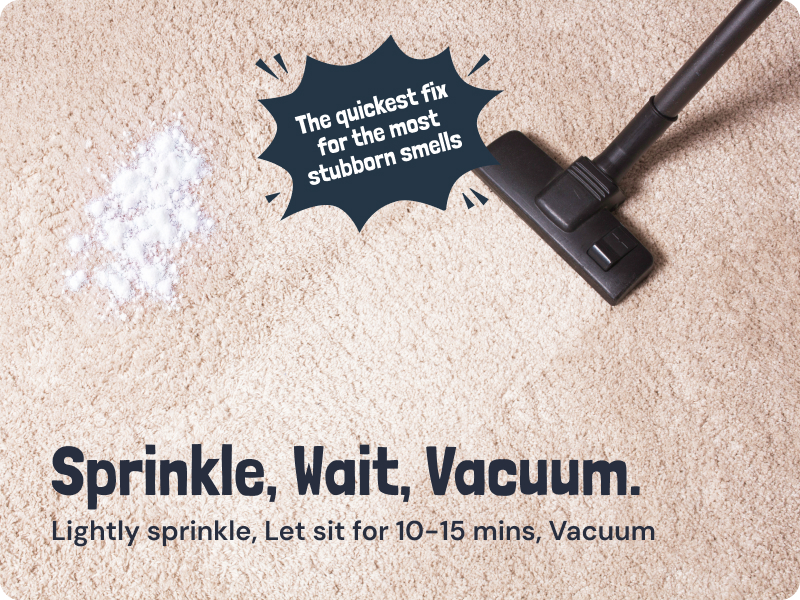 carpet deodorant powder rug powder cleaner freshener carpet smell good carpet sprinkle deodorizer