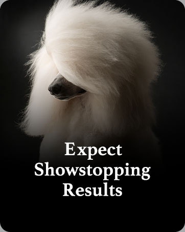 Expect Showstopping Results with iGroom Petcare Products
