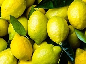 Lemon
