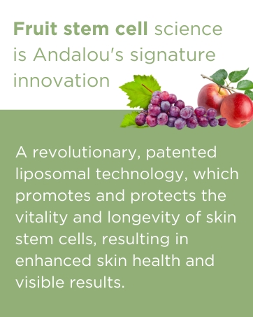 Fruit Stem Cell Science