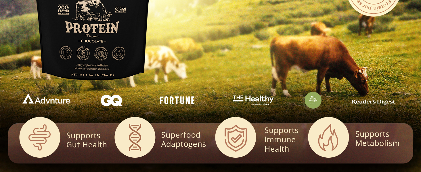 rganic, natural, grass-fed beef & bone broth protein powder, no sugar, reishi, lions mane, chaga