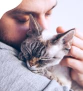 Anti Aggresion for Cats Calming Remedy - A Natural Diffuser and Cat Calming Aid for Stress, Sprit...