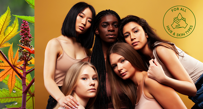 Sunny Isle Jamaican Black Castor Oil Products For All Hair and Skin Types