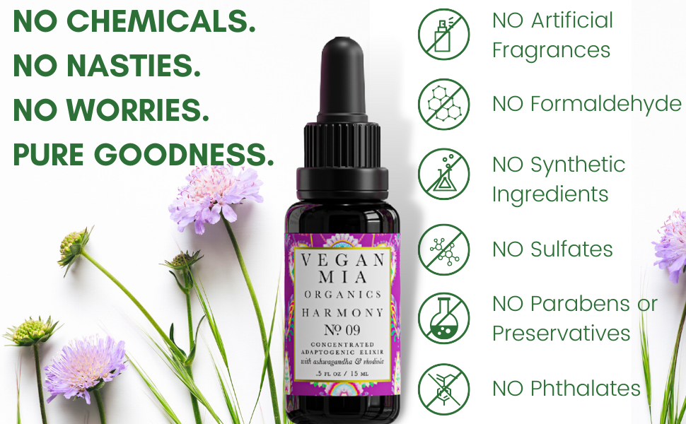 CLEAN AND GREEN PROMISE