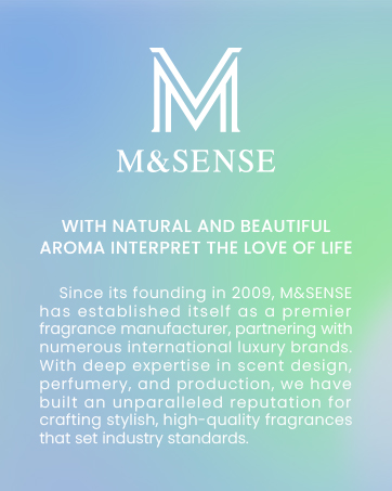 M&amp;amp;SENSE