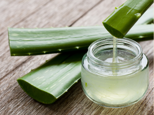 Aloe