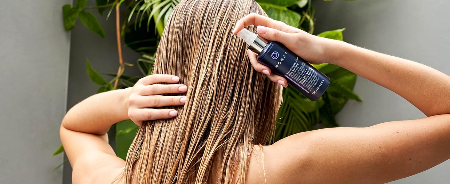 Smoothing Anti-Frizz System I