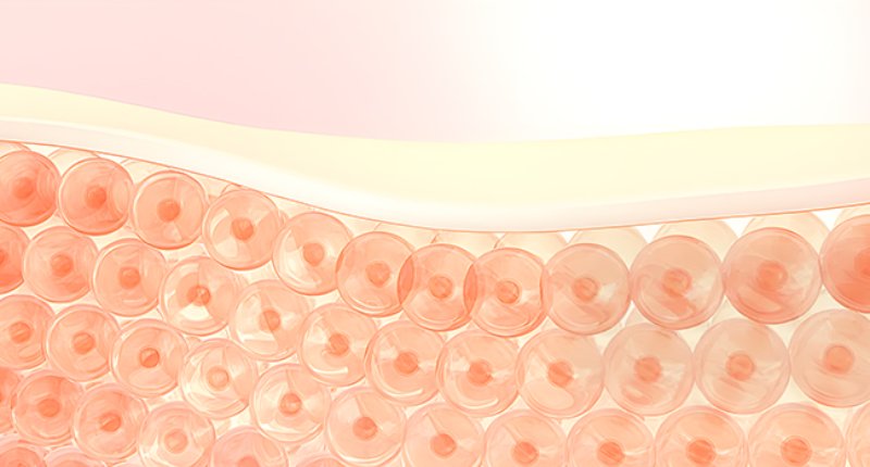 marine collagen benefit