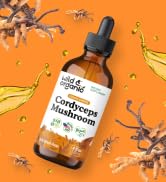 cordyceps tincture