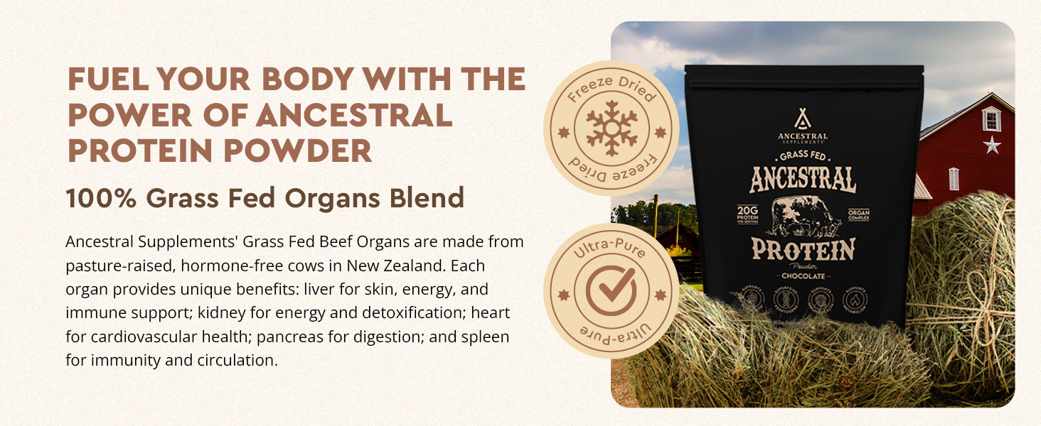 rganic, natural, grass-fed beef & bone broth protein powder, no sugar, reishi, lions mane, chaga