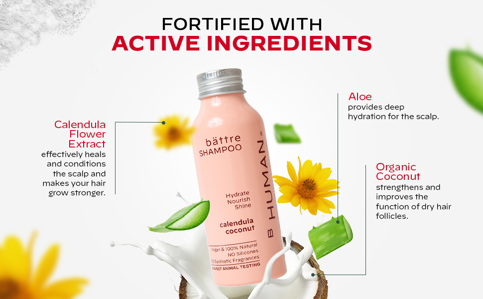waterless shampoo shampoo natural gentle shampoo