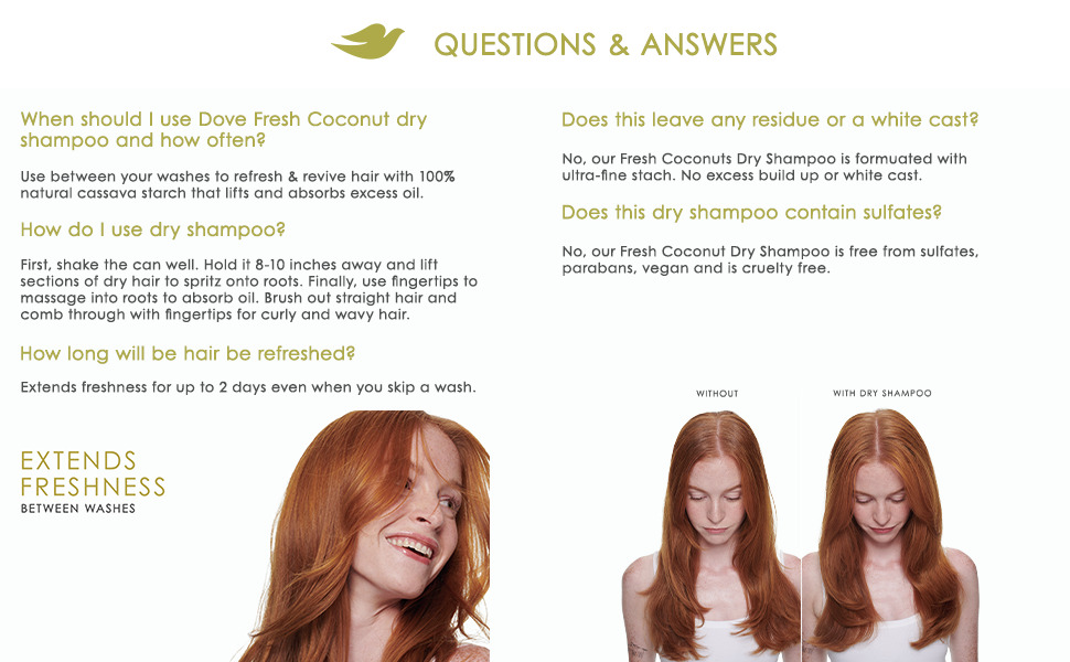Q&A