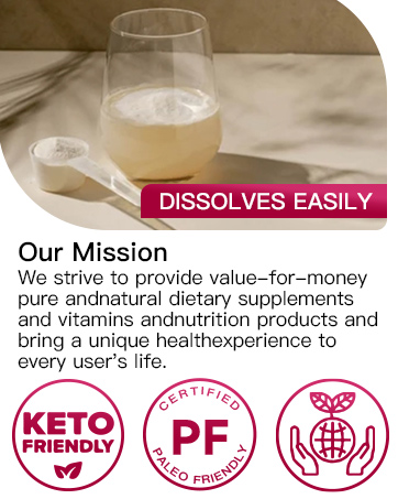 Multi Collagen Powder