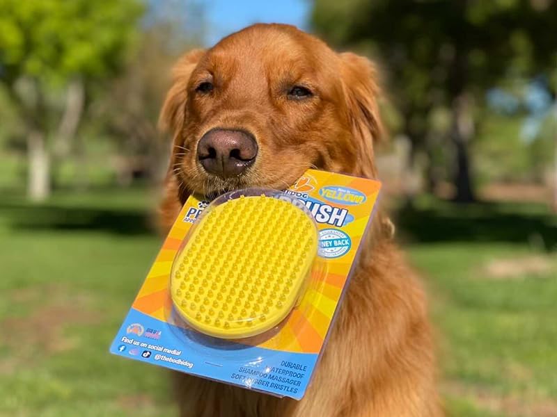 dog with yellow bath brush