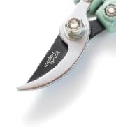 Modern Sprout Hand Pruners - Lightweight Pruning Shears W/Easy Lock- Gardening Scissors - Bypass ...