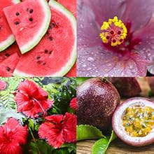 exotic ingredients natural watermelon passion fruit flowery hibiscus inspired