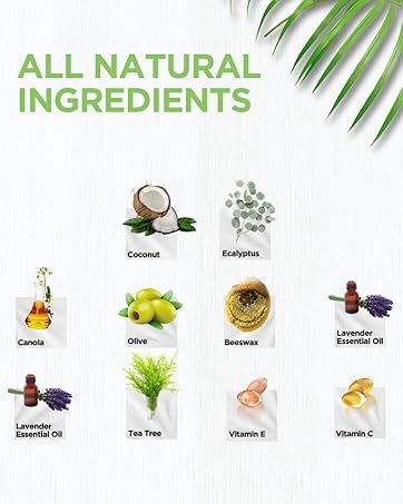 Daily Remedy Tea Tree Oil Nail Fungus Athlete's Foot Care