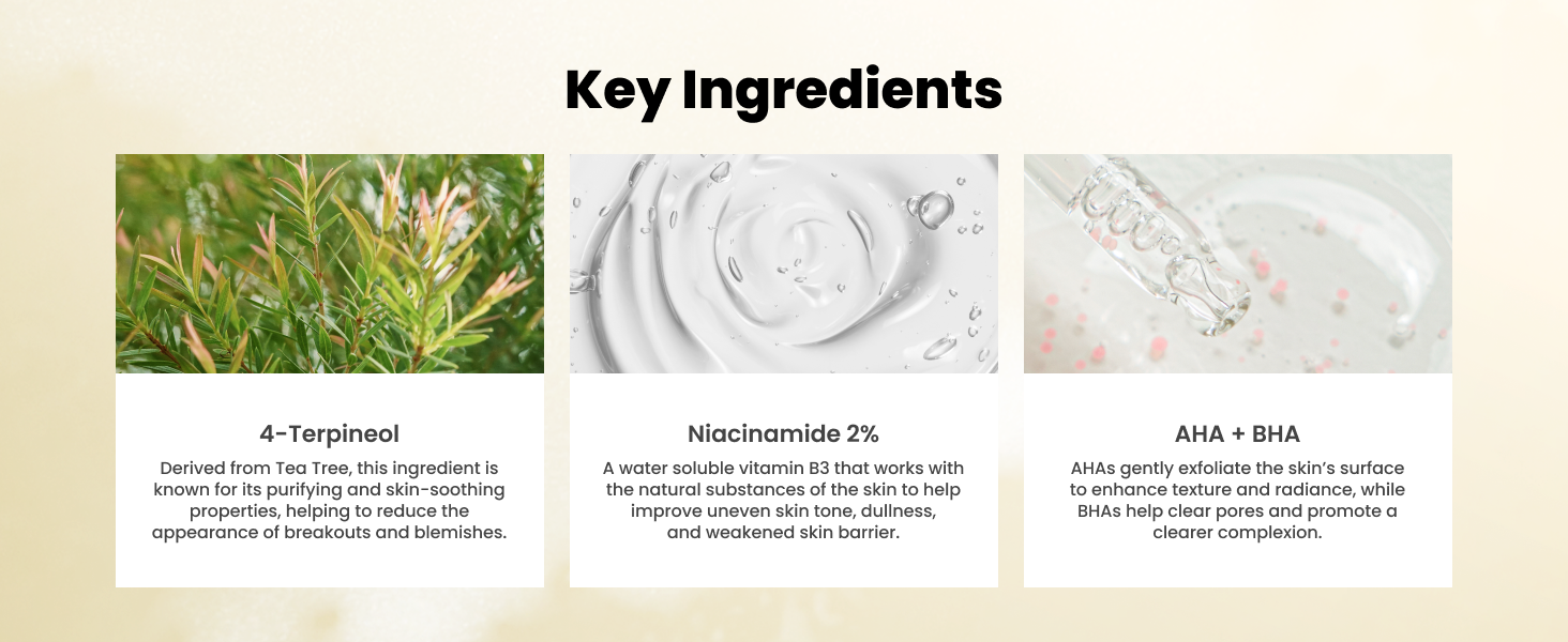 Key Ingredients