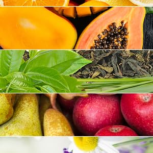 Ginger Lily Farms Botanicals Nourishing Body Wash Coco Mango 
