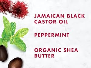 Text: Jamaican black castor oil, peppermint, organic shea butter with flowers, leaves and seeds.