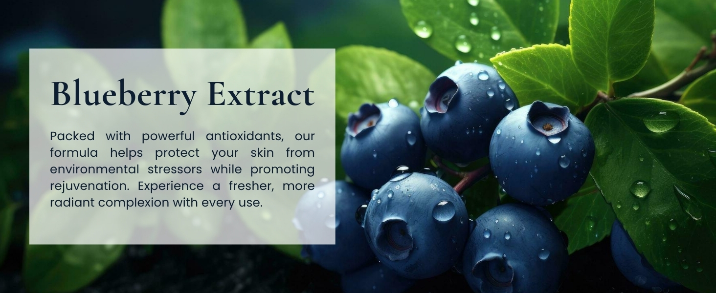 Blueberry and Aloe vera natural lotion for women and men personal care for dry skin lotion
