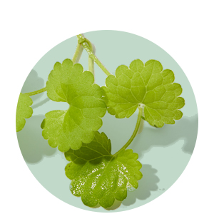 COSRX Centella Cica Facial Blemish Cream for Scars and Acne Marks Reduce Smooth Skin Korean Skincare