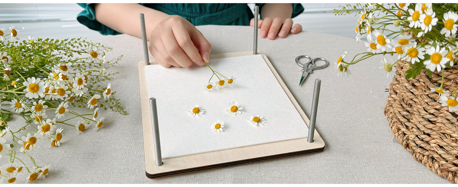 Blotting Paper for Flower Press