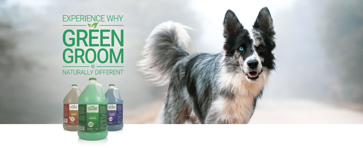 green groom professional grooming pet dog cat products shampoo conditioners sprays concentrate bulk